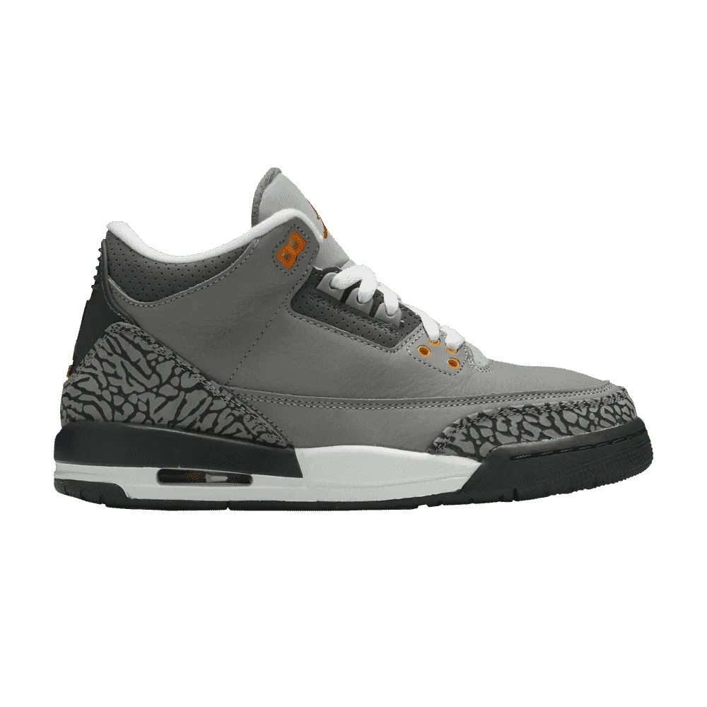 Air Jordan 3 Retro GS Cool Grey 2021