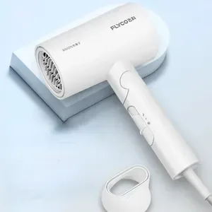 Electric Hair Dryer Negative Ion Hair Dryer Quick-Drying Foldable Household Large Wind Hair Care Home Appliance 250226BJ