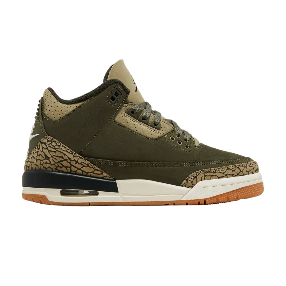 Air Jordan 3 Retro GS Family Affair