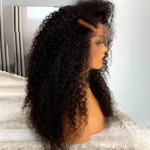 200density Black Glueless Curly Human Hair Wigs for Women - Water Wave 13x4 & 13x6 Pre-Cut HD Lace Frontal Wigs - Pre-Pl
