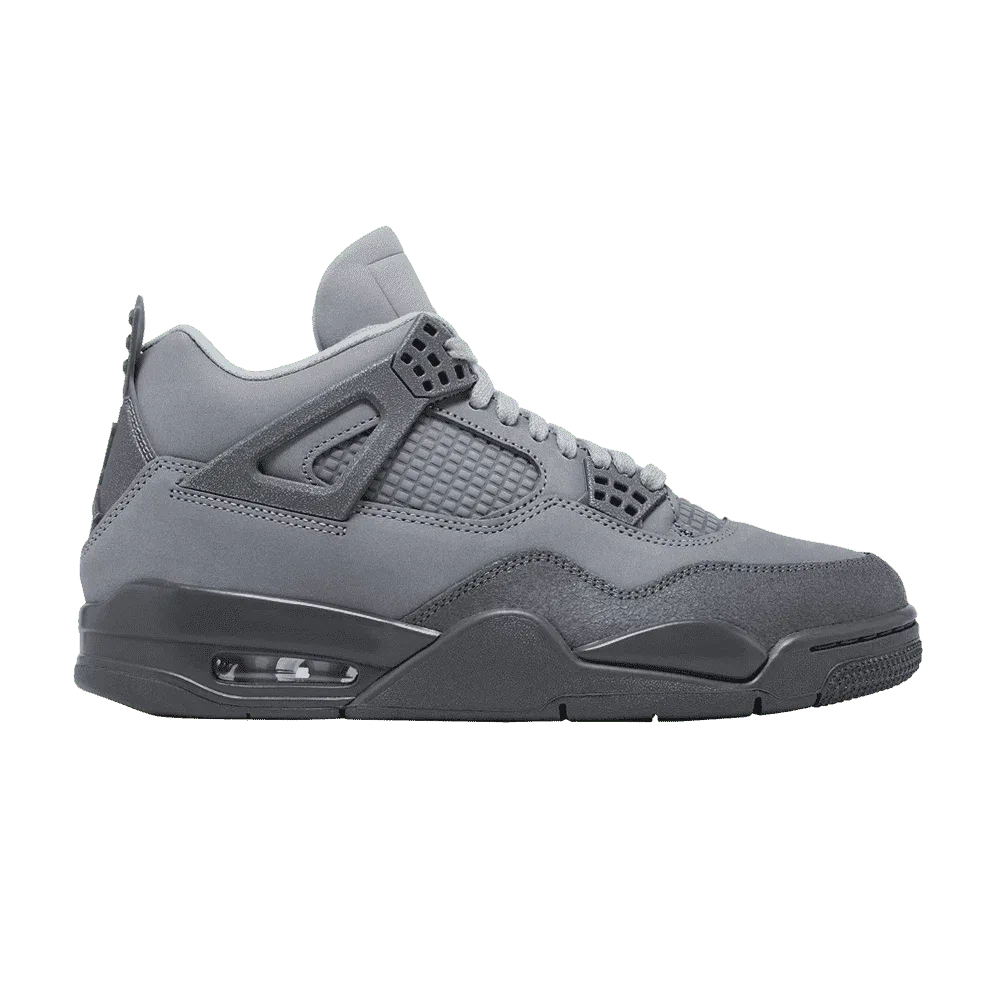 Air Jordan 4 Paris Olympics