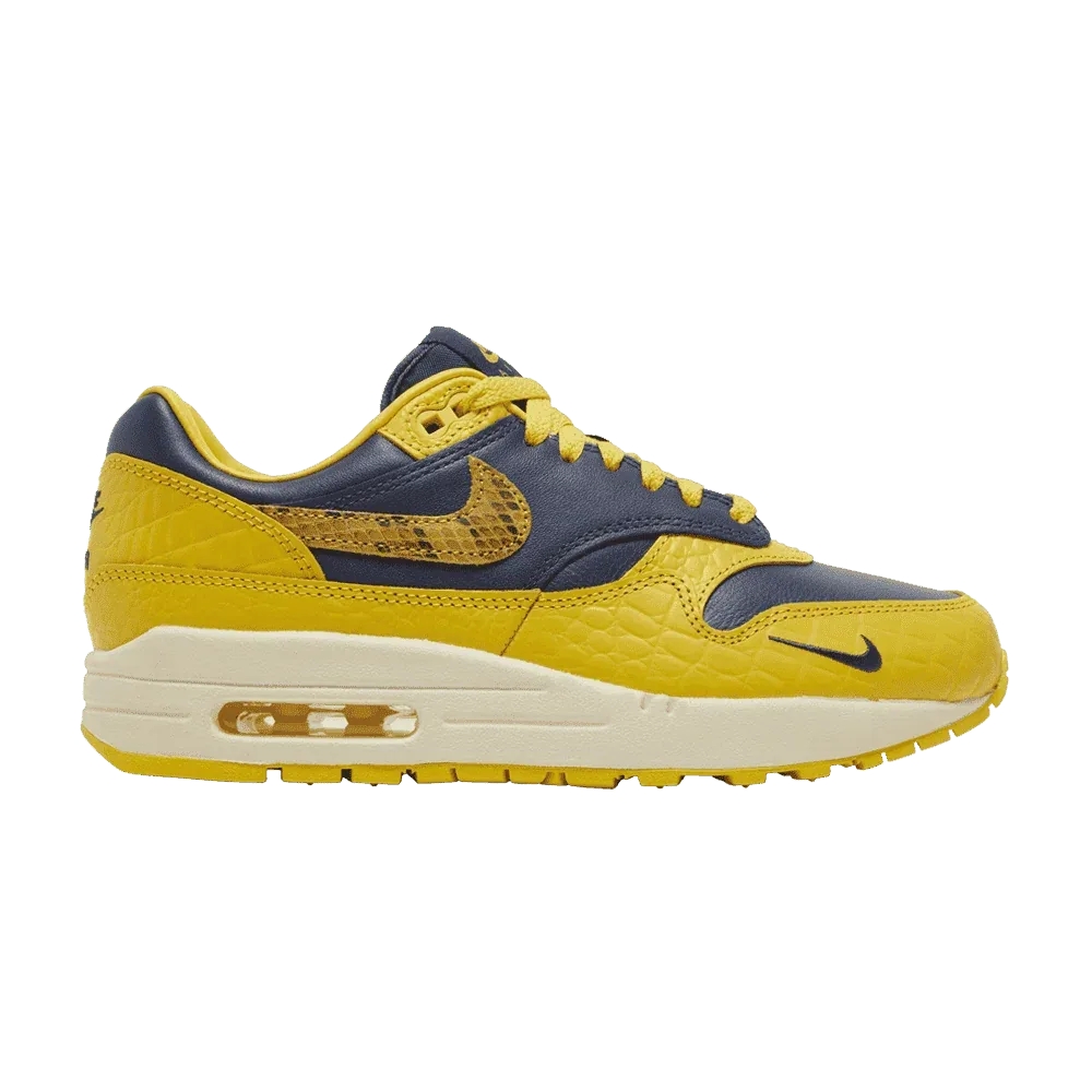 Air Max 1 CO.JP Michigan Head to Head