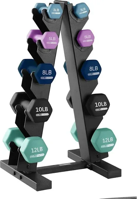 Holahatha Neoprene Dumbbell Weights Set With Rack, Home Gym Equipment,
