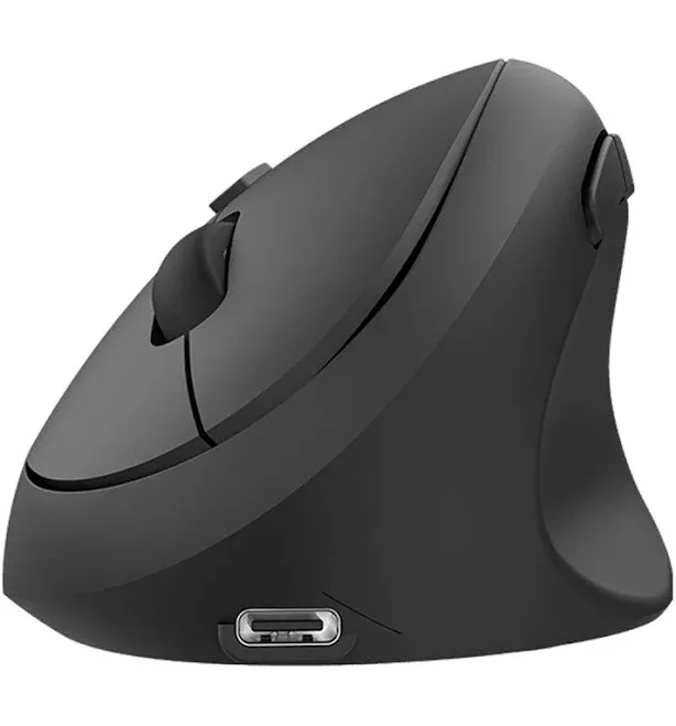 Ergonomic Mouse