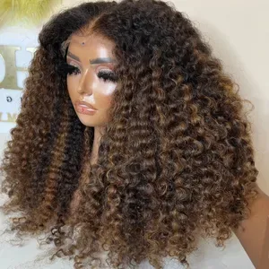 Highlight Wig Brazilian Human Hair Curly Wigs 13x4/13x6 HD Lace Frontals - Glueless, Pre-Plucked 180% Density - Wear and