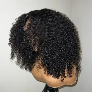 Afro Kinky Curly Human Hair Wig 250% Density Pre-Plucked 13x4 HD Transparent Lace Front Glueless Natural Black Remy Wig