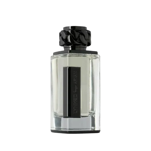 AFNAN Afnan Lynked Freedom EDP 100ml