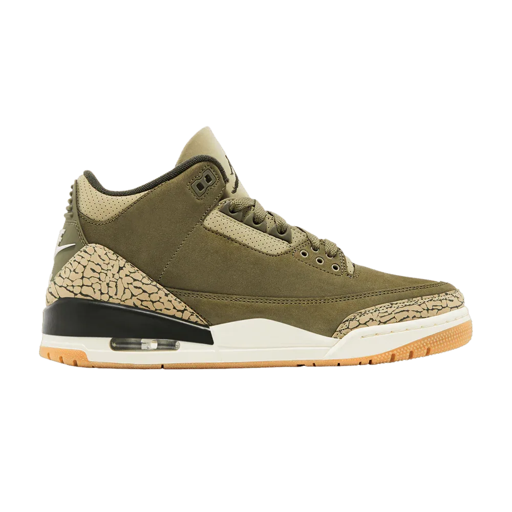 Air Jordan 3 Retro Family Affair