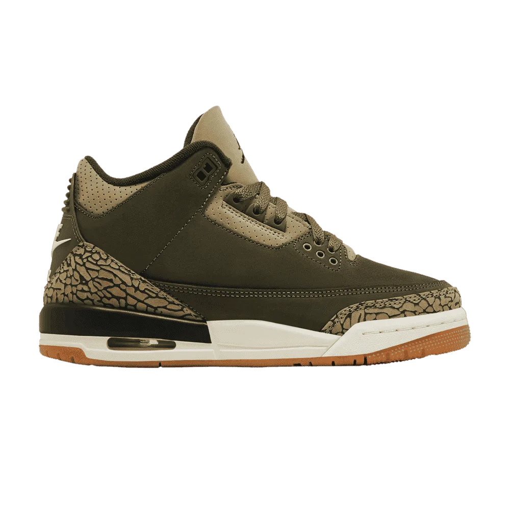 Air Jordan 3 Retro GS Family Affair