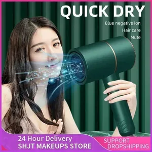 Household Hair Dryer - High Power Blue Light Anion - Anti-Static Air Heat Styling Tool for Home and Salon