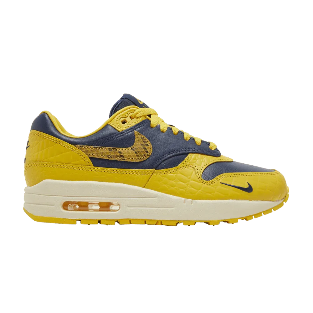 Air Max 1 CO.JP Michigan Head to Head