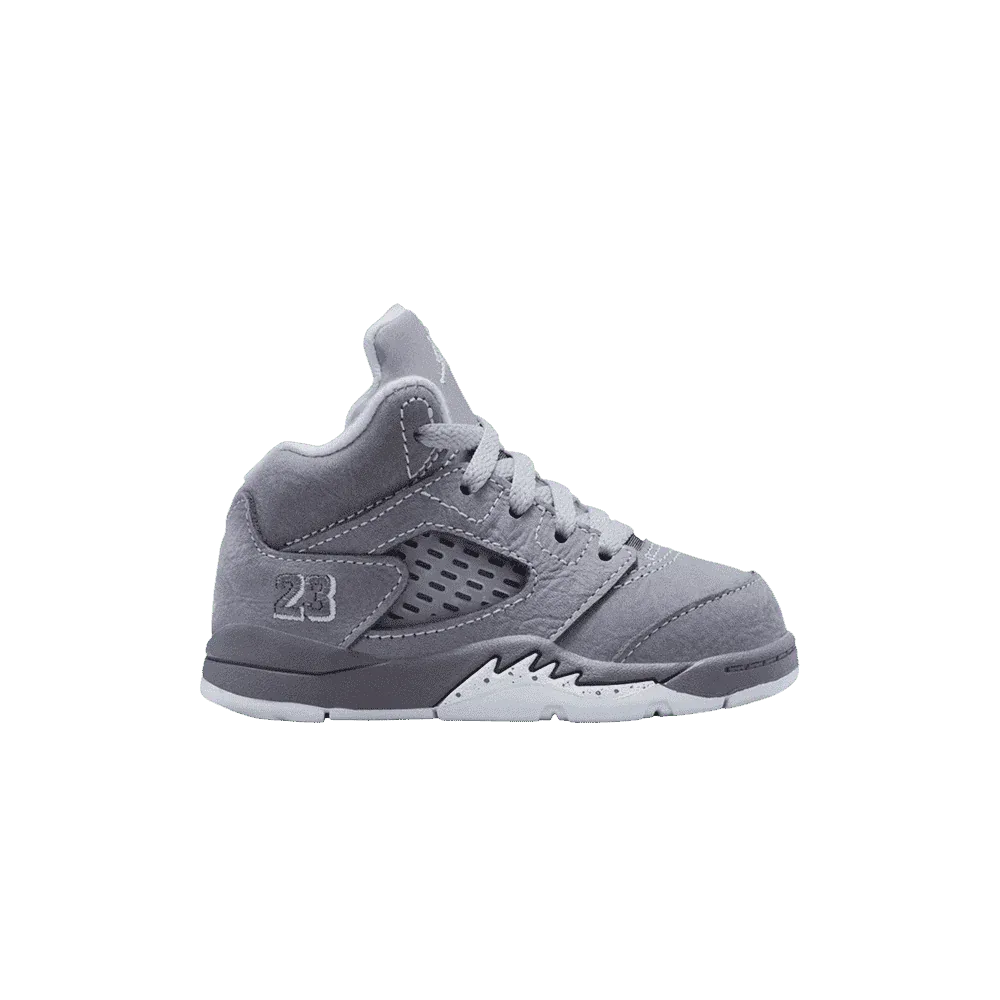 Air Jordan 5 Retro TD Wolf Grey 2026