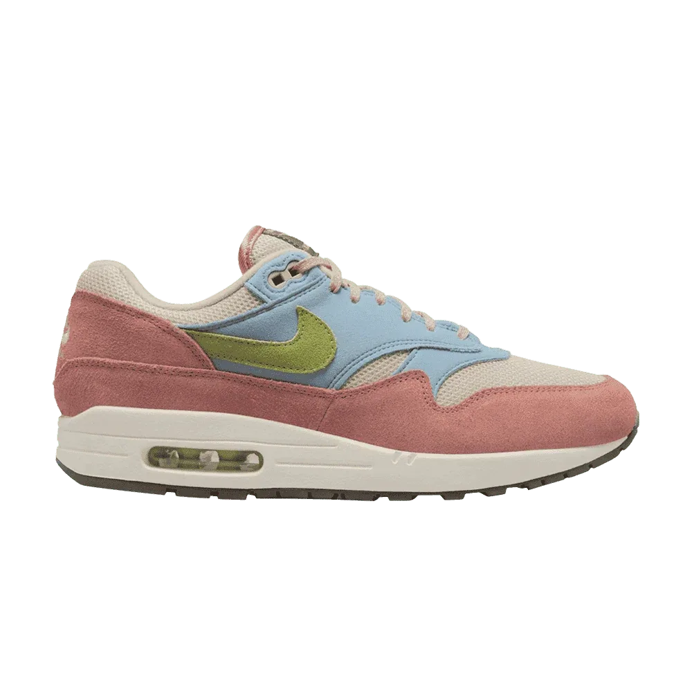 Air Max 1 Light Madder Root Worn Blue