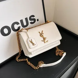 Designer French Inspired Chain Strap Shoulder Trendy Mini Square Crossbody Purse for Women Luxury Viral Fashion Bag With