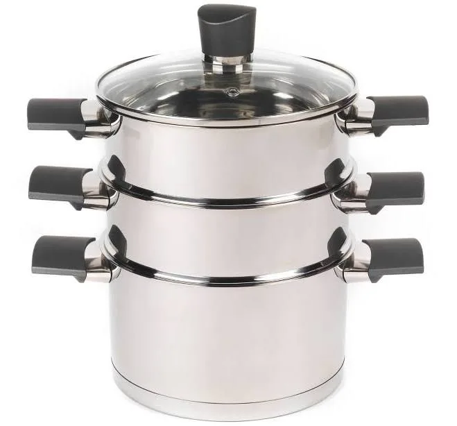 Russell Hobbs Excellence Steamer