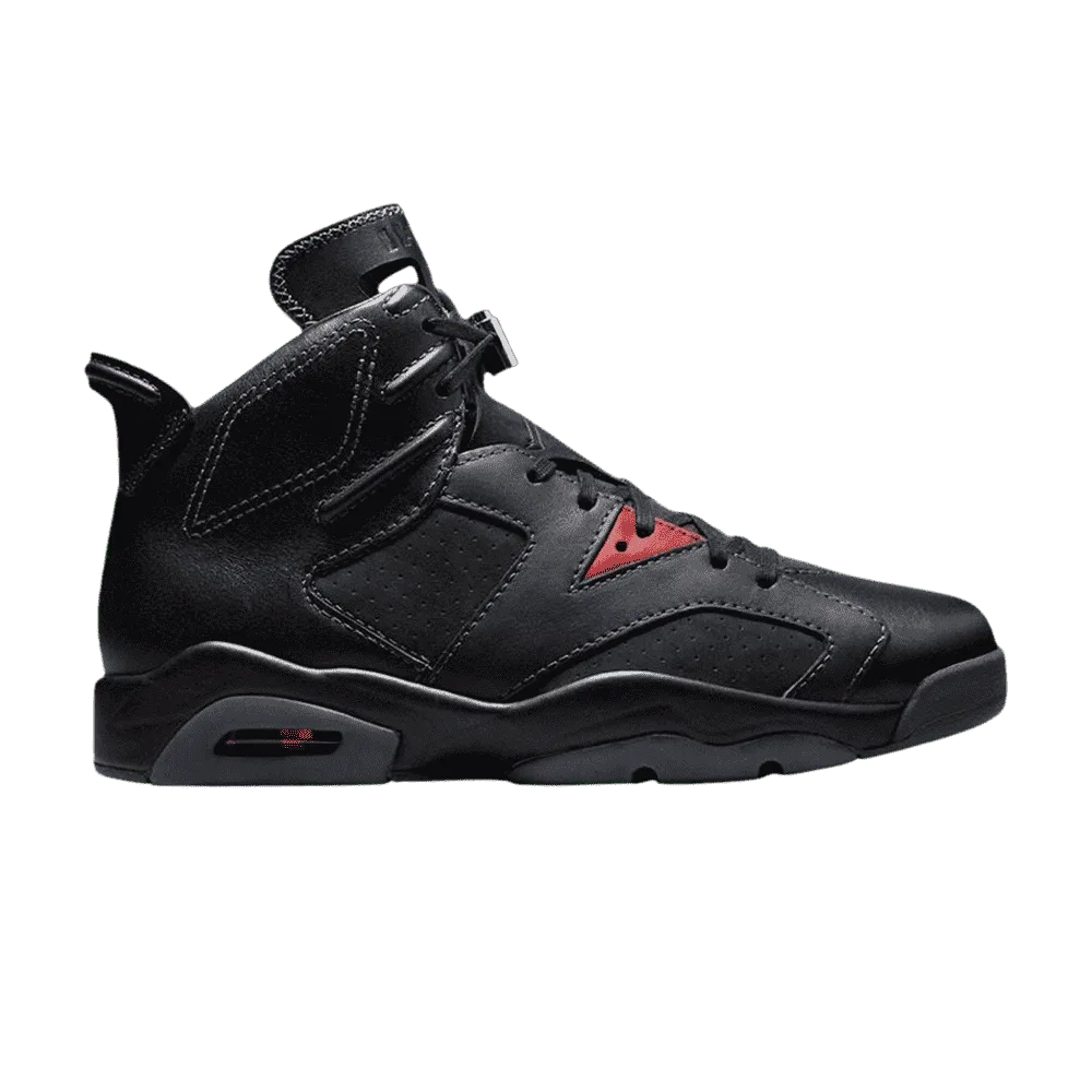 Air Jordan 6 Retro Premio Bin23