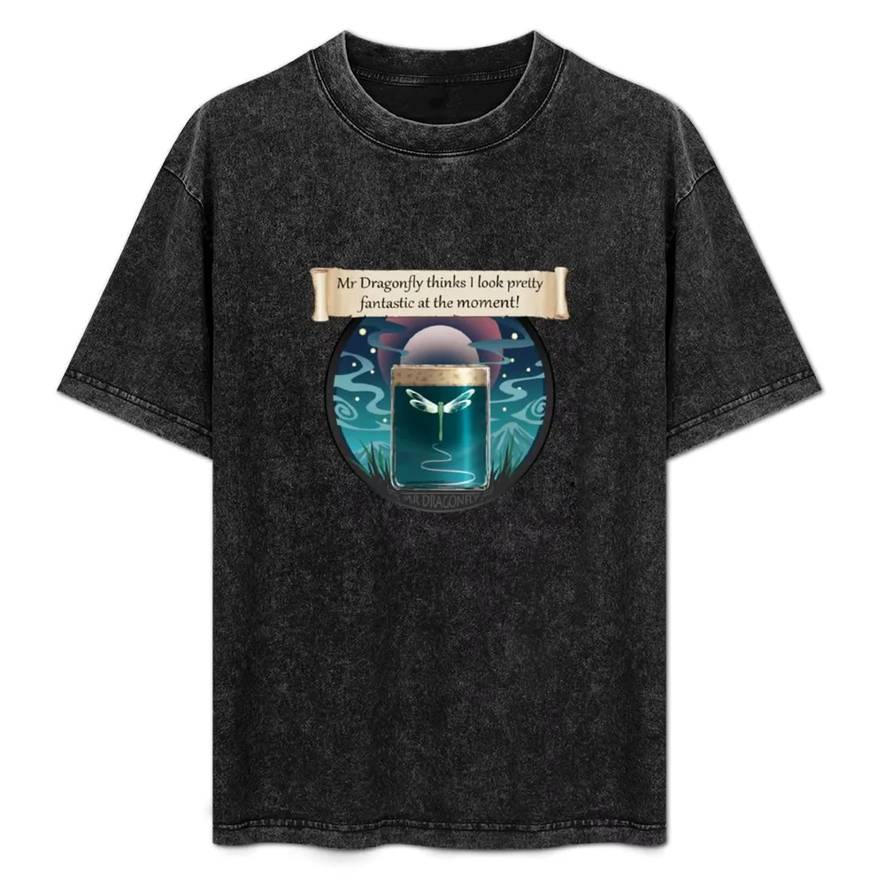 Mr Dragonfly Thinks I Look Pretty Fantastic At The Moment! T-Shirt Simple Graphic Design T-Shirt