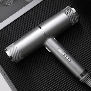Hair Dryers Professional Hair Dryer 2-in-1 Styler Brush and Dryer Comb - Fast Drying and Straightening Hair Appliance