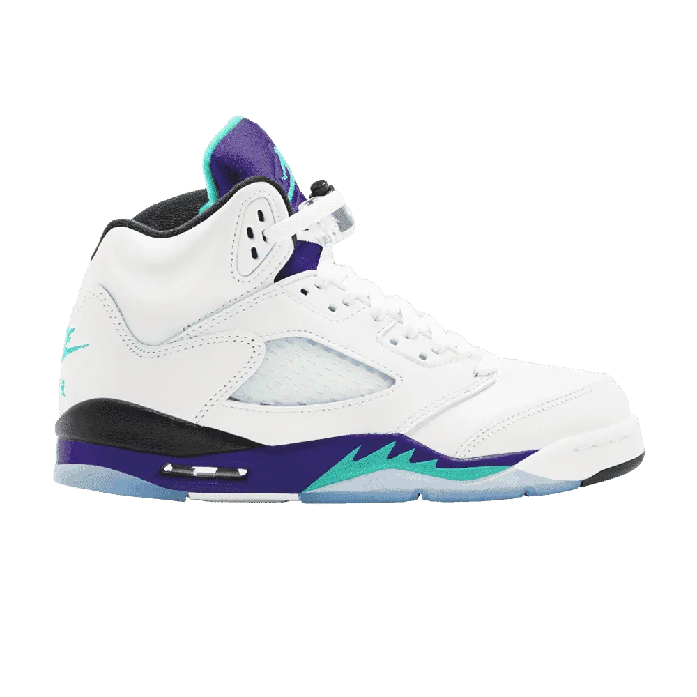 Air Jordan 5 Retro GS Grape 2025